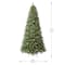 9ft. Pre-Lit Rothwell Fir Realistic Artificial Christmas Tree, Warm White LED Lights by Ashland®
